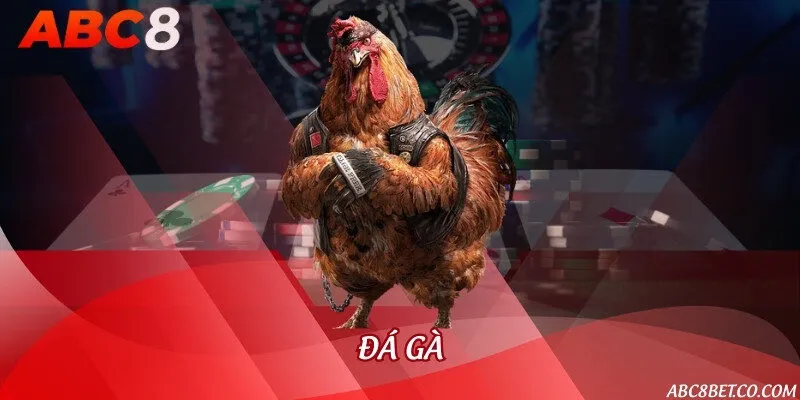 Đá gà